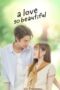 Drama Thailand A Love So Beautiful (2024)